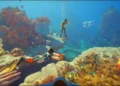 „Subnautica 2“ ankstyvosios prieigos stadijoje debiutuos jau šį mėnesį
